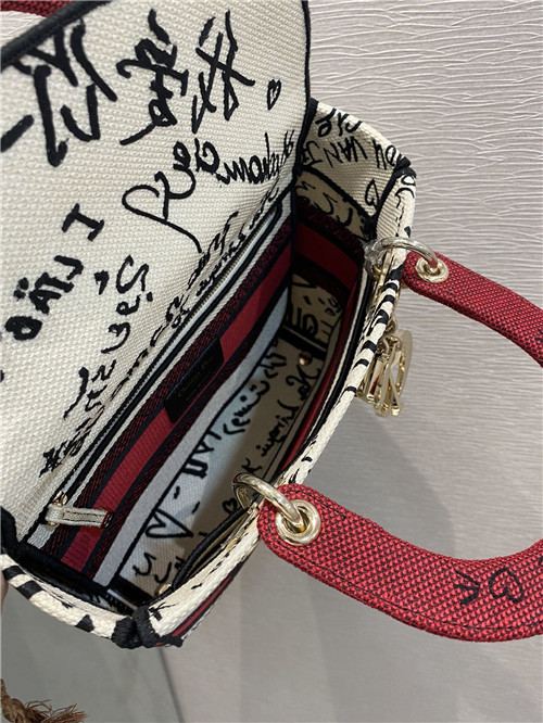 dior Lady bag replica bags - Image 7
