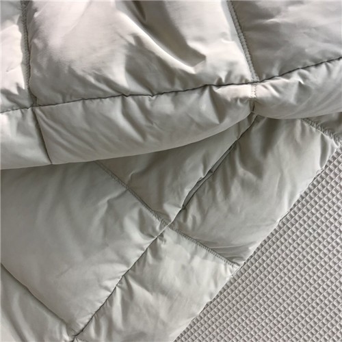 Bottega Veneta Down jacket replica clothing - Image 2