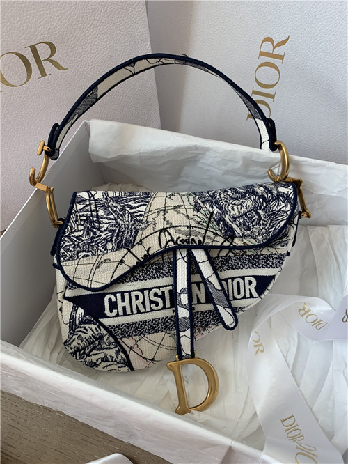dior around the world saddle bag
