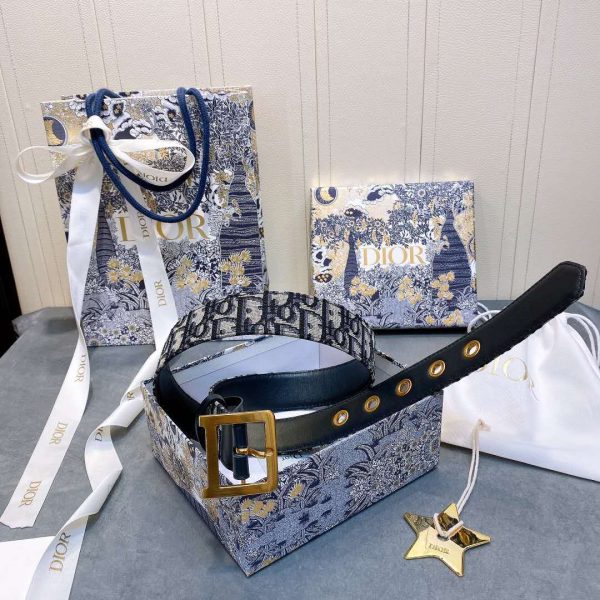 Diorquake dior oblique belt 2025